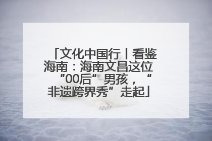 文化中国行丨看鉴海南：海南文昌这位“00后”男孩，“非遗跨界秀”走起