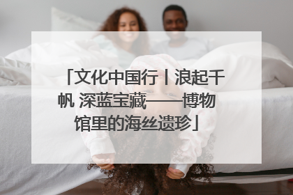 文化中国行丨浪起千帆 深蓝宝藏——博物馆里的海丝遗珍