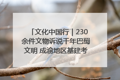 文化中国行｜230余件文物诉说千年巴蜀文明 成渝地区基建考古成果展开展