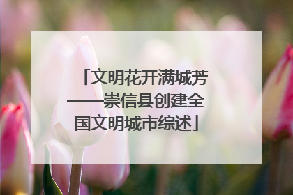 文明花开满城芳——崇信县创建全国文明城市综述