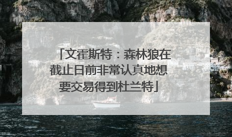 文霍斯特：森林狼在截止日前非常认真地想要交易得到杜兰特