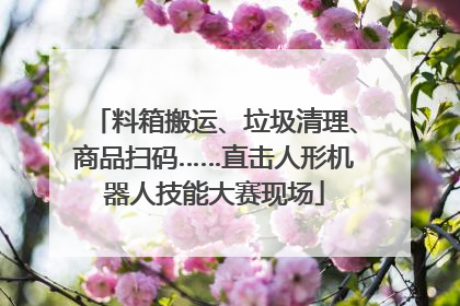 料箱搬运、垃圾清理、商品扫码……直击人形机器人技能大赛现场