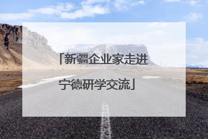 新疆企业家走进宁德研学交流