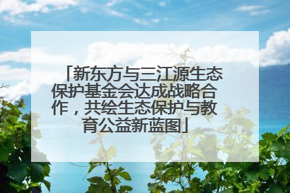 新东方与三江源生态保护基金会达成战略合作，共绘生态保护与教育公益新蓝图