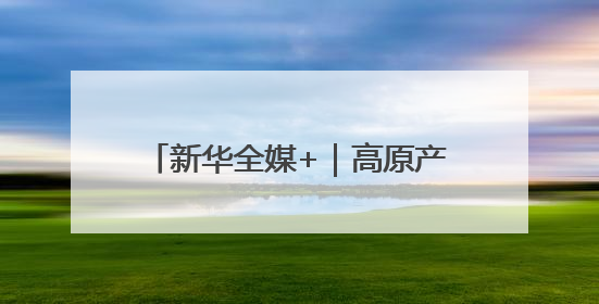 新华全媒+｜高原产品上“云”端——西藏电商发展一线观察