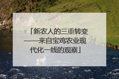 新农人的三重转变——来自宝鸡农业现代化一线的观察