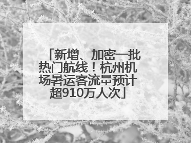 新增、加密一批热门航线！杭州机场暑运客流量预计超910万人次