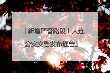 新增严管路段！大连公安交警发布通告