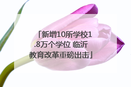 新增10所学校1.8万个学位 临沂教育改革重磅出击