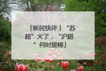 新民快评丨“苏超”火了，“沪超”何时接棒