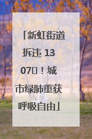 新虹街道拆违 1307㎡！城市绿肺重获呼吸自由