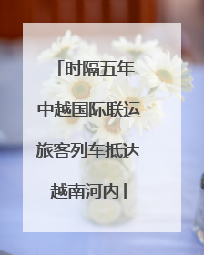 时隔五年 中越国际联运旅客列车抵达越南河内