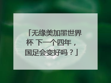 无缘美加墨世界杯 下一个四年，国足会变好吗？