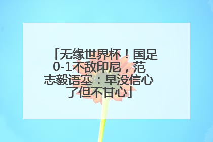无缘世界杯！国足0-1不敌印尼，范志毅语塞：早没信心了但不甘心