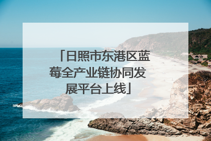 日照市东港区蓝莓全产业链协同发展平台上线