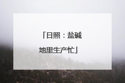 日照：盐碱地里生产忙