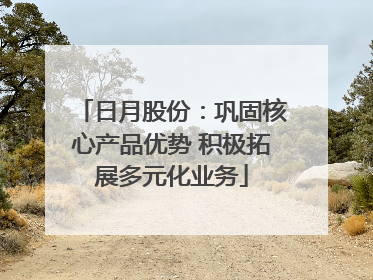 日月股份：巩固核心产品优势 积极拓展多元化业务
