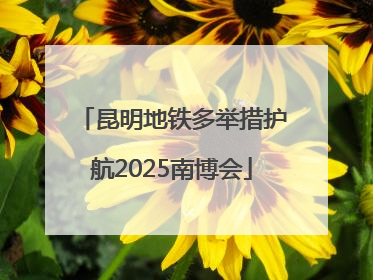 昆明地铁多举措护航2025南博会