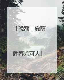 晚潮｜夏荫胜春尤可人