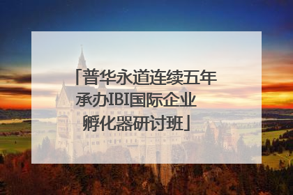 普华永道连续五年承办IBI国际企业孵化器研讨班
