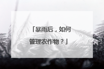 暴雨后，如何管理农作物？