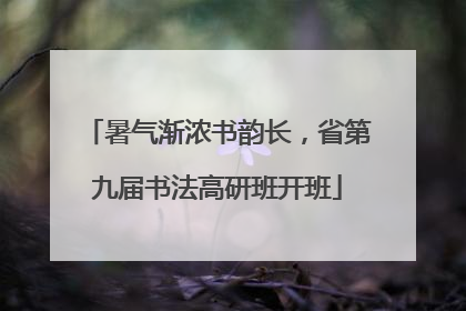 暑气渐浓书韵长，省第九届书法高研班开班