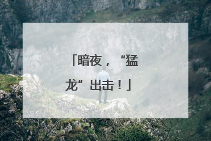 暗夜，“猛龙”出击！