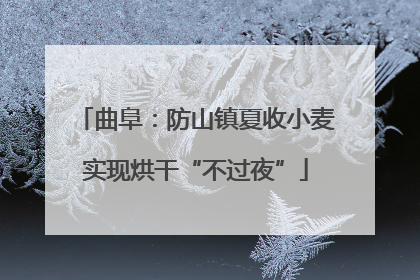 曲阜：防山镇夏收小麦实现烘干“不过夜”