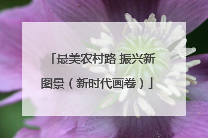 最美农村路 振兴新图景（新时代画卷）