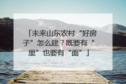 未来山东农村“好房子”怎么建？既要有“里”也要有“面”