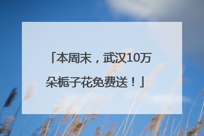 本周末，武汉10万朵栀子花免费送！