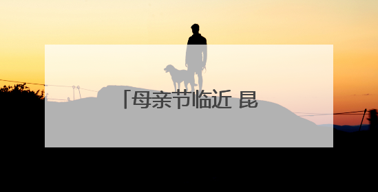 母亲节临近 昆明消费市场升温