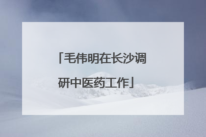 毛伟明在长沙调研中医药工作