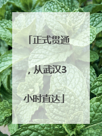 正式贯通，从武汉3小时直达