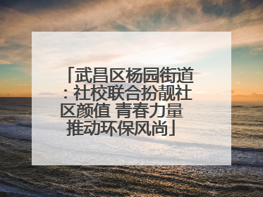 武昌区杨园街道：社校联合扮靓社区颜值 青春力量推动环保风尚