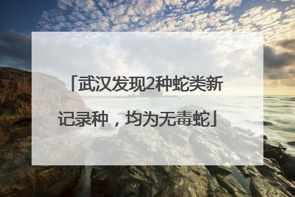 武汉发现2种蛇类新记录种，均为无毒蛇
