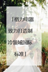 格力电器致力打造制冷领域国际标准