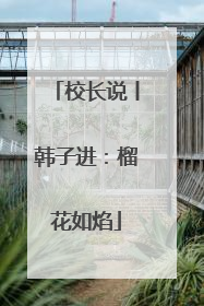 校长说丨韩子进：榴花如焰