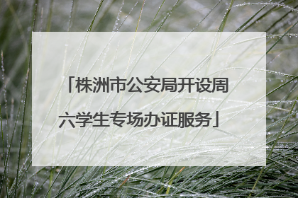 株洲市公安局开设周六学生专场办证服务