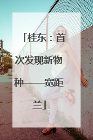 桂东：首次发现新物种——宽距兰