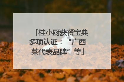 桂小厨获餐宝典多项认证：“广西菜代表品牌”等