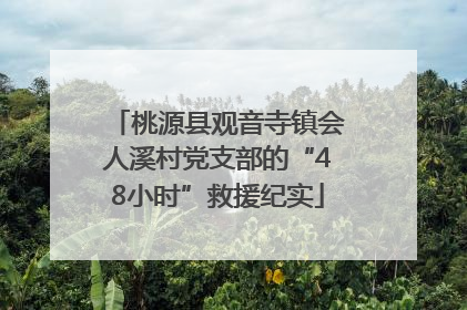 桃源县观音寺镇会人溪村党支部的“48小时”救援纪实