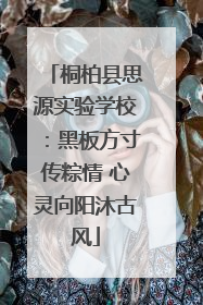 桐柏县思源实验学校：黑板方寸传粽情 心灵向阳沐古风