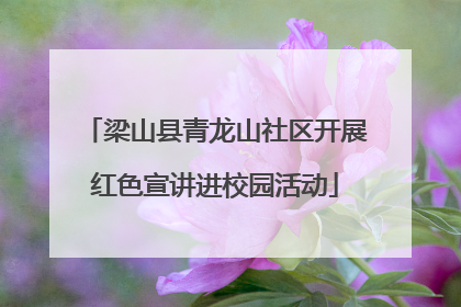 梁山县青龙山社区开展红色宣讲进校园活动