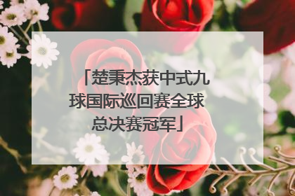 楚秉杰获中式九球国际巡回赛全球总决赛冠军