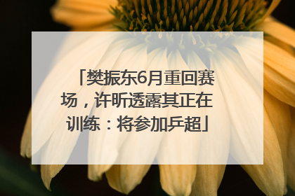 樊振东6月重回赛场，许昕透露其正在训练：将参加乒超