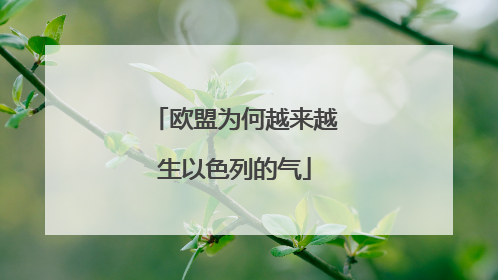 欧盟为何越来越生以色列的气