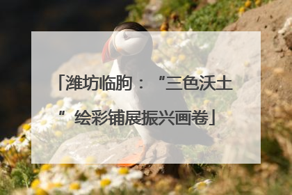 潍坊临朐：“三色沃土”绘彩铺展振兴画卷