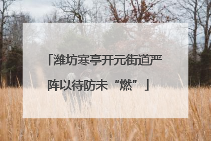 潍坊寒亭开元街道严阵以待防未“燃”