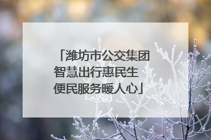潍坊市公交集团智慧出行惠民生 便民服务暖人心